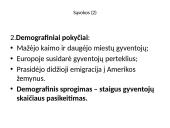 Pramonės perversmo poveikis visuomenei ir kultūrai (pagal egzamino programą) 4 puslapis