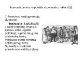 Pramonės perversmo poveikis visuomenei ir kultūrai (pagal egzamino programą) 5 puslapis