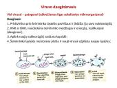 Virusai, jų reikšmė gamtai ir žmogui 3 puslapis