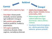 Virusai, jų reikšmė gamtai ir žmogui 4 puslapis