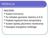 Maisto medžiagos skaidrės 11 puslapis