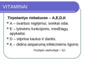 Maisto medžiagos skaidrės 14 puslapis