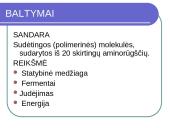 Maisto medžiagos skaidrės 3 puslapis
