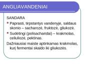 Maisto medžiagos skaidrės 6 puslapis