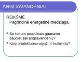 Maisto medžiagos skaidrės 7 puslapis