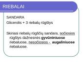 Maisto medžiagos skaidrės 10 puslapis