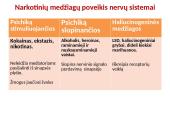 Nervų sistemos valdymas skaidrės 4 puslapis