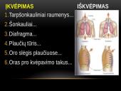 Žmogaus kvėpavimo fazės 6 puslapis