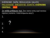 Žmogaus kvėpavimo fazės 8 puslapis