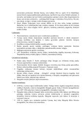 Vincas Krėvė – Mickevičius ir drama - tragedija „Skirgaila“ 2 puslapis