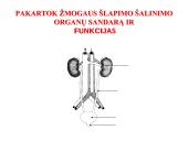 Medžiagų šalinimas bei osmoreguliacija 12 puslapis