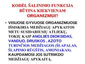 Medžiagų šalinimas bei osmoreguliacija 4 puslapis