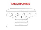 Medžiagų šalinimas bei osmoreguliacija 5 puslapis