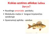 Medžiagų šalinimas bei osmoreguliacija 7 puslapis