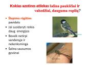 Medžiagų šalinimas bei osmoreguliacija 8 puslapis