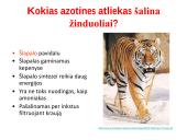 Medžiagų šalinimas bei osmoreguliacija 9 puslapis