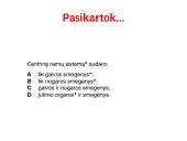 Nervų sistemos valdymas (neuronai, sinapsė, refleksai, nervai, galvos ir nugaros smegenys) 12 puslapis