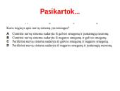 Nervų sistemos valdymas (neuronai, sinapsė, refleksai, nervai, galvos ir nugaros smegenys) 13 puslapis