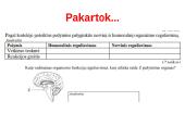 Nervų sistemos valdymas (neuronai, sinapsė, refleksai, nervai, galvos ir nugaros smegenys) 5 puslapis