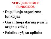 Nervų sistemos valdymas (neuronai, sinapsė, refleksai, nervai, galvos ir nugaros smegenys) 7 puslapis