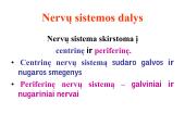 Nervų sistemos valdymas (neuronai, sinapsė, refleksai, nervai, galvos ir nugaros smegenys) 9 puslapis