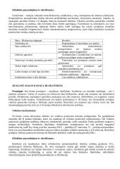 Antiaritminiai vaistai 4 puslapis