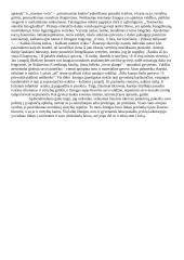 Ar žiauri tikrovė gali pakeisti žmogaus vertybes? 2 puslapis