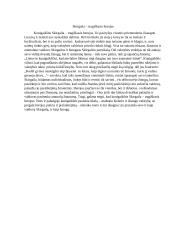 Skirgaila – tragiškasis herojus