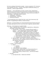 Platus pasiruošimas farmakologijai 5 puslapis