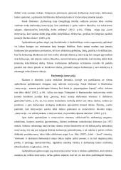 Darbuotojų kaita ir jos priežastys 2 puslapis