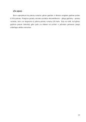 Pamatų kursinis darbas 20 puslapis