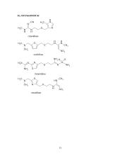 Histamino apykaitą veikiantys vaistai 13 puslapis