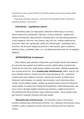 Ilgalaikės atminties savybės 5 puslapis