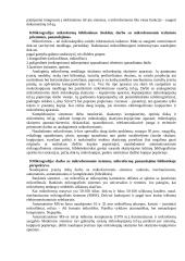 Informacinės technologojos ir sistemos 5 puslapis