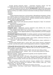 Informacinės technologojos ir sistemos 7 puslapis