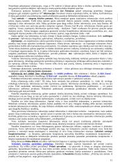 Intelektinė nuosavybė 11 puslapis