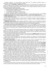 Intelektinė nuosavybė 12 puslapis