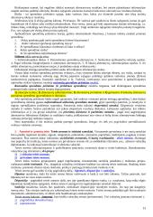Intelektinė nuosavybė 13 puslapis