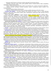 Intelektinė nuosavybė 19 puslapis