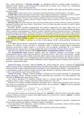 Intelektinė nuosavybė 9 puslapis