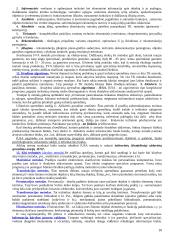 Intelektinė nuosavybė 10 puslapis