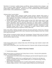 Kineziterapijos pagrindiniai tyrimai 2 puslapis