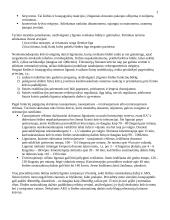 Kineziterapijos pagrindiniai tyrimai 3 puslapis