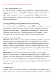 Knygotyros mokslo ištakos 11 puslapis