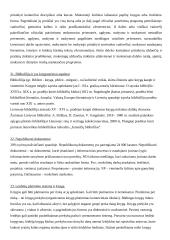 Knygotyros mokslo ištakos 12 puslapis