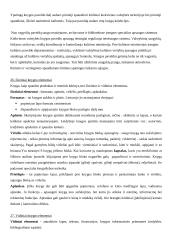 Knygotyros mokslo ištakos 14 puslapis