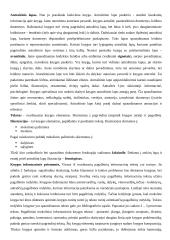 Knygotyros mokslo ištakos 15 puslapis