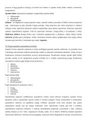 Knygotyros mokslo ištakos 17 puslapis