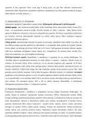 Knygotyros mokslo ištakos 18 puslapis