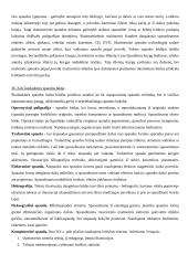 Knygotyros mokslo ištakos 19 puslapis